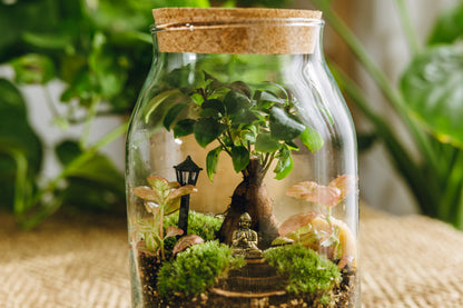 Terrario Sarrià Navidad - Edición espeial