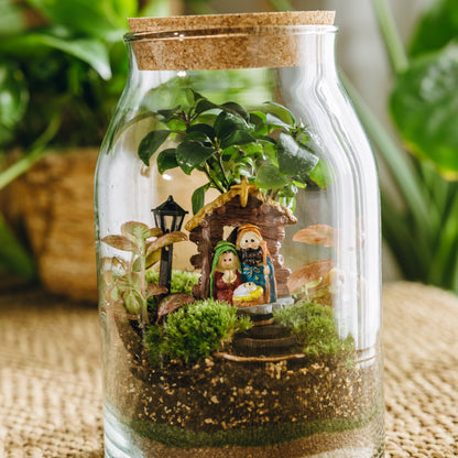 Terrario Sarrià Navidad - Edición espeial