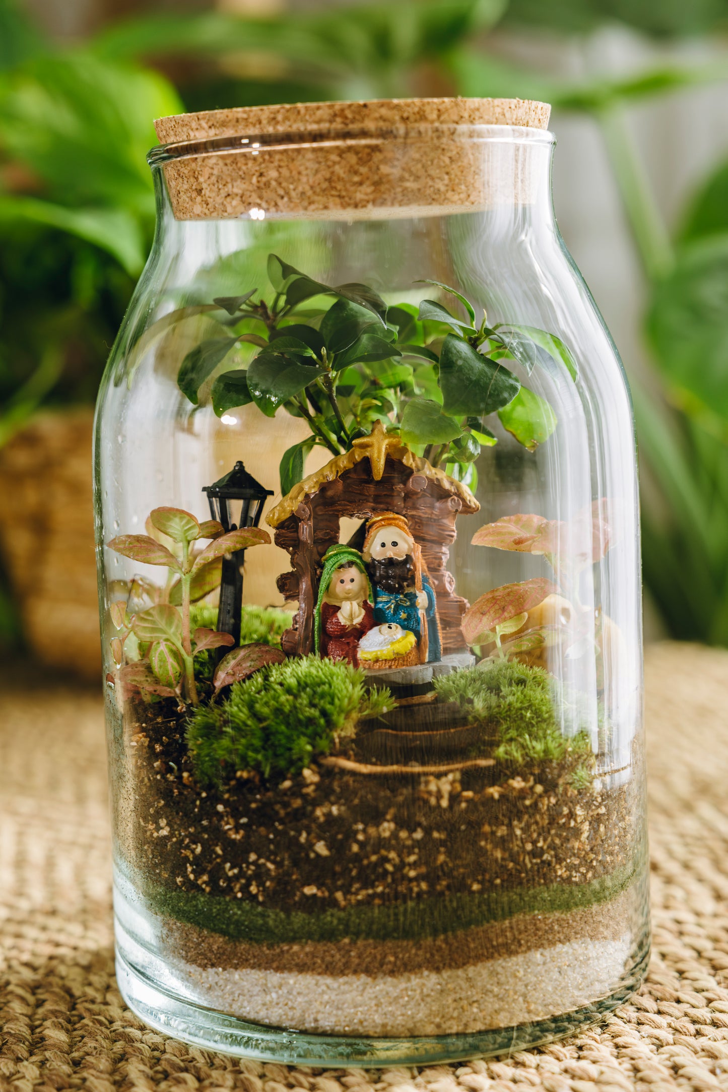 Terrario Sarrià Navidad - Edición espeial