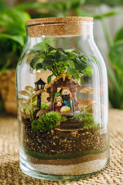 Terrario Sarrià Navidad - Edición espeial