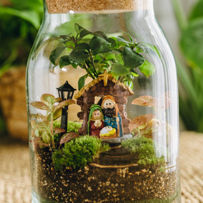 Terrario Sarrià Navidad - Edición espeial