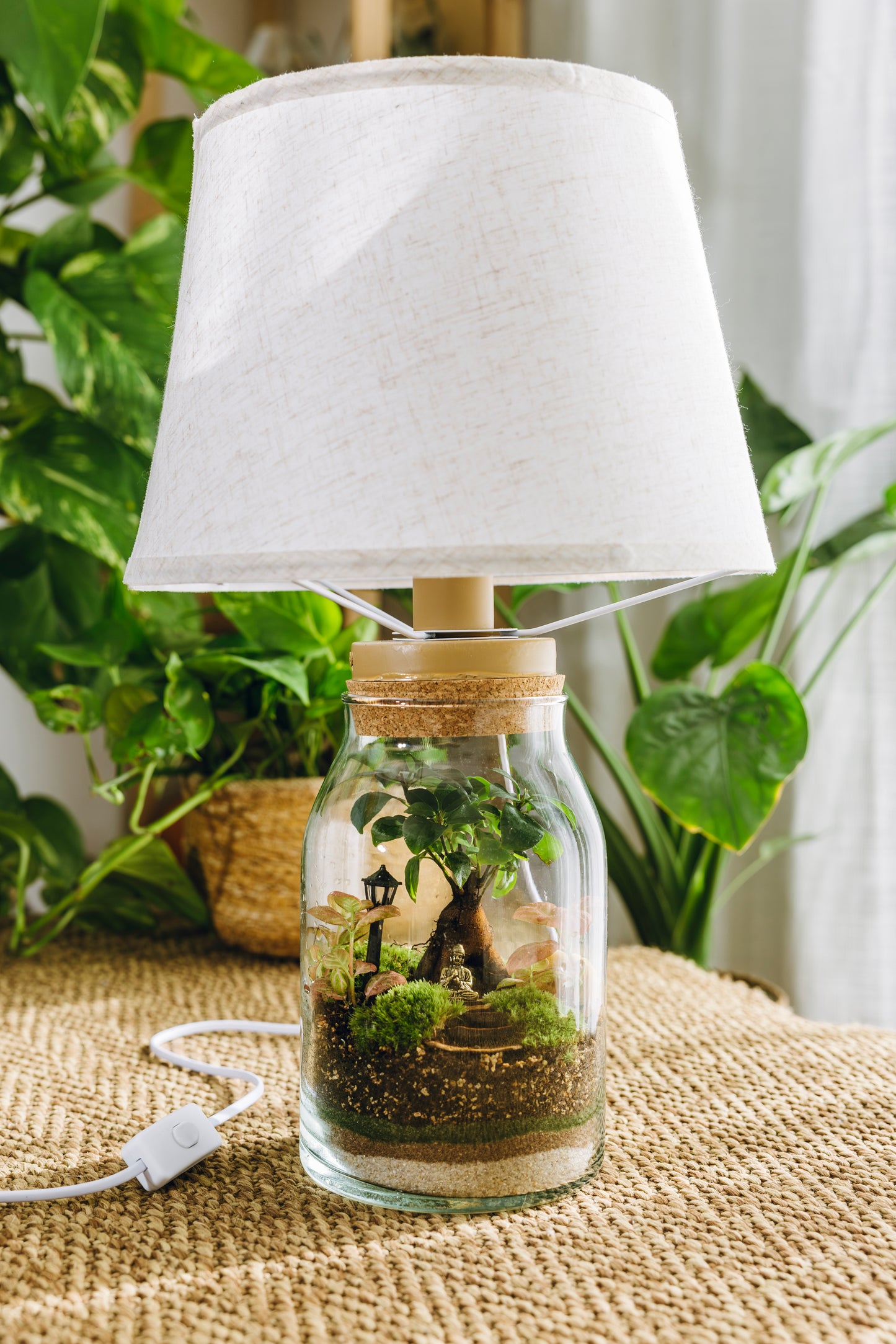 Terrario Sarrià Navidad - Edición espeial