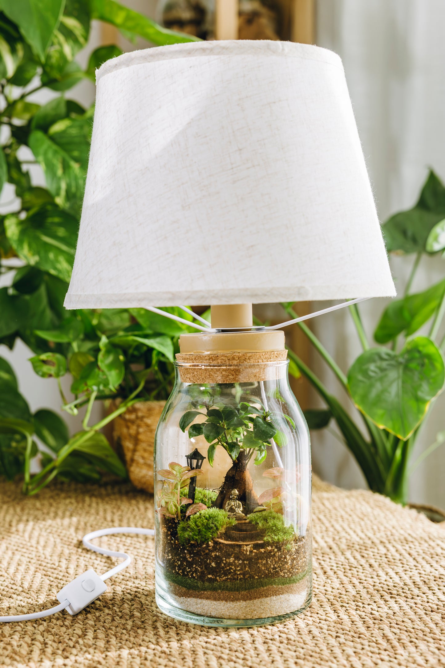 Terrario Sarrià Navidad - Edición espeial